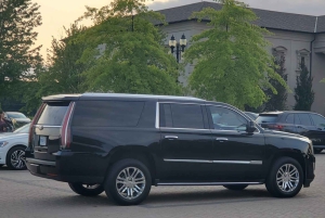 Salida Privada de las Cataratas del Niágara al Aeropuerto de Toronto YYZ