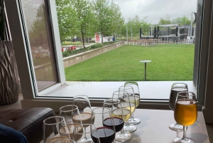 Almoço relaxante e excursão de vinho pela região vinícola de Niagara