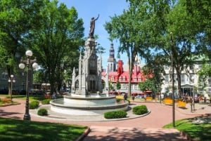 Kleine groep: Toronto, Montreal, Quebec & Niagara 4-daagse tour