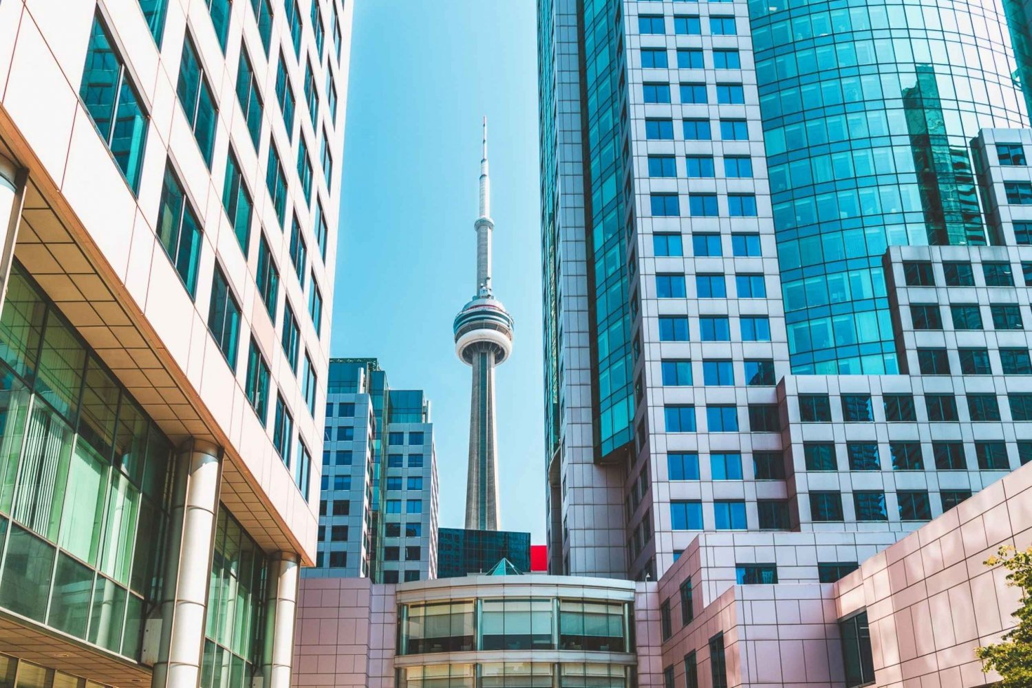 Toronto: tour a pie de 2 horas por el centro de la ciudad