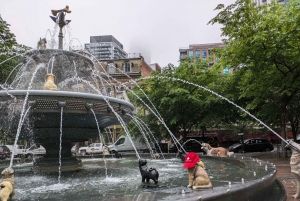 Toronto: Byens høydepunkter til fots | 3-timers tur