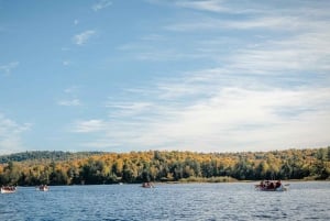 Toronto: excursión de un día al parque Algonquin y las cataratas Ragged