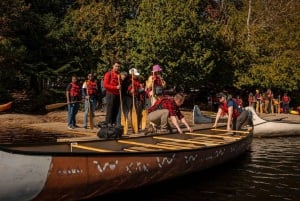 Toronto: excursión de un día al parque Algonquin y las cataratas Ragged