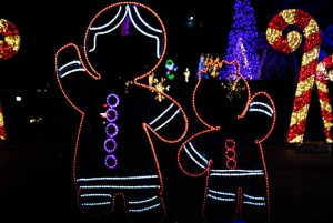 Toronto: Niagara Falls Day & Evening Tour + Top Attractions
