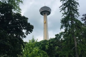 Toronto og Niagara Falls: Dagstur med byomvisning og naturopplevelser