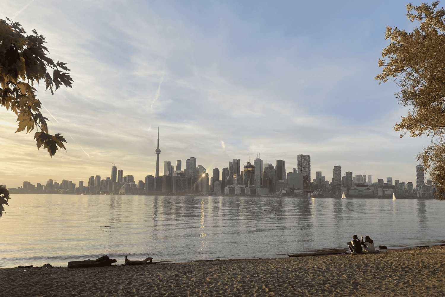 Toronto: Bus or Walking City Tour in English or French