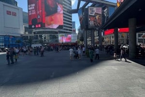 Toronto: excursão histórica informal a pé