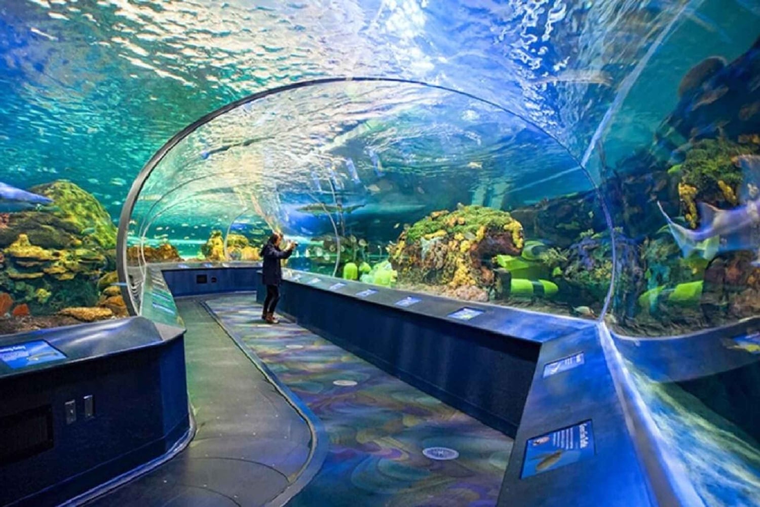 Toronto City 1-Day Sightseeing Group Tour