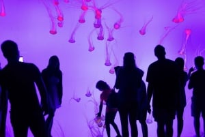 Toronto City Highlights Express Tour – en hurtig rundtur til byens højdepunkter