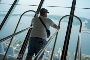 Excursão a pé pelos destaques de Toronto com entrada na torre