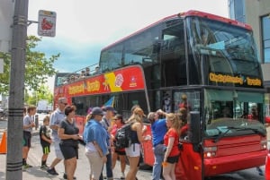 Toronto: City Sightseeing Hop-On Hop-Off Bus Tour