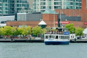 Toronto: Cruzeiro no porto com vistas da cidade