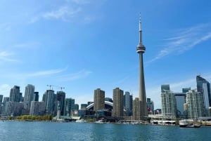 Toronto: Cruzeiro no porto com vistas da cidade