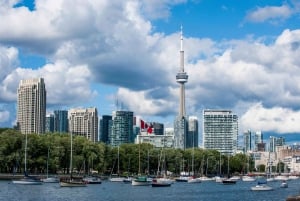 Toronto: Cruzeiro no porto com vistas da cidade