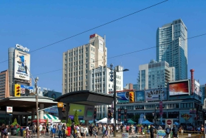 Privat tur for par i Toronto: Livlige torg, rolige parker