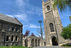 Toronto Discovery District Highlights Tour | 2-Hour