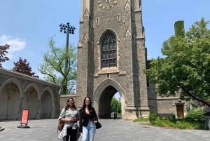 Toronto Discovery District Highlights Tour | 2-Hour