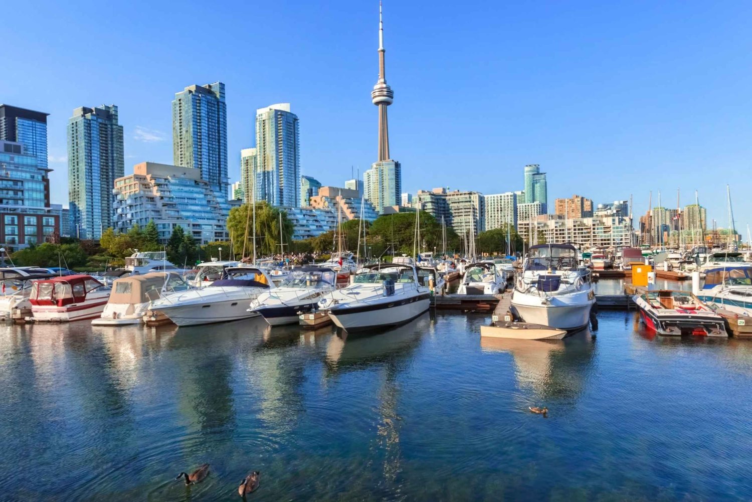 Toronto Downtown Tour with Harbor and Islands Cruise Tickets