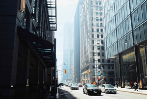 Toronto: Downtown Walking Tour with Tower and Boat Cruise