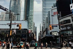 Toronto: Downtown Walking Tour with Tower and Boat Cruise