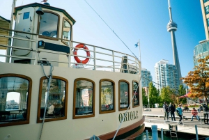 Toronto: Downtown Walking Tour with Tower and Boat Cruise