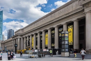 Byvandring i Toronto med tårn og havnekrydstogt