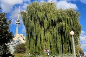 Toronto: E-Scooter City Highlights Tour | 3-Hour