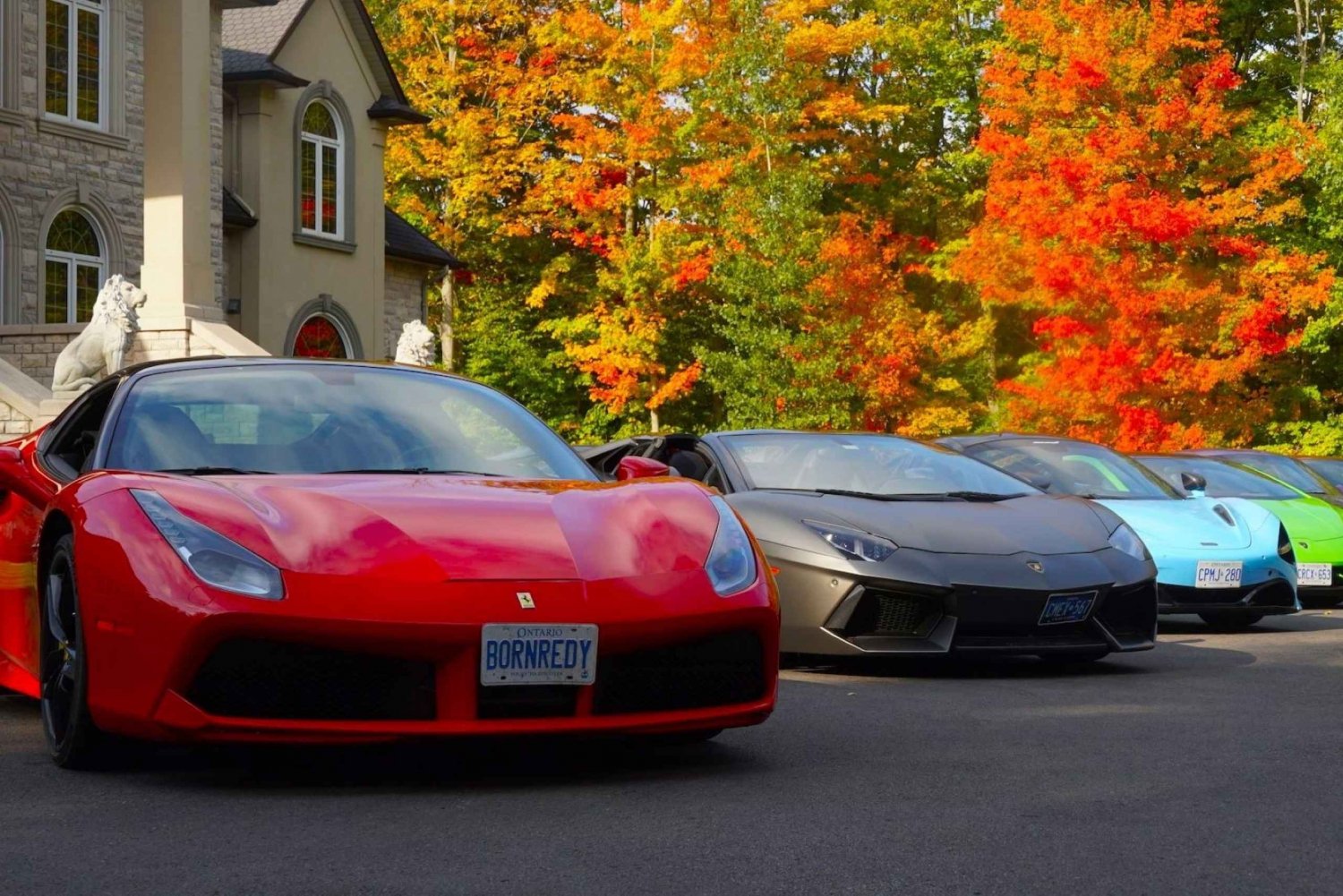 Toronto: Exotic or Supercar Test Drive on Hamilton Mountain