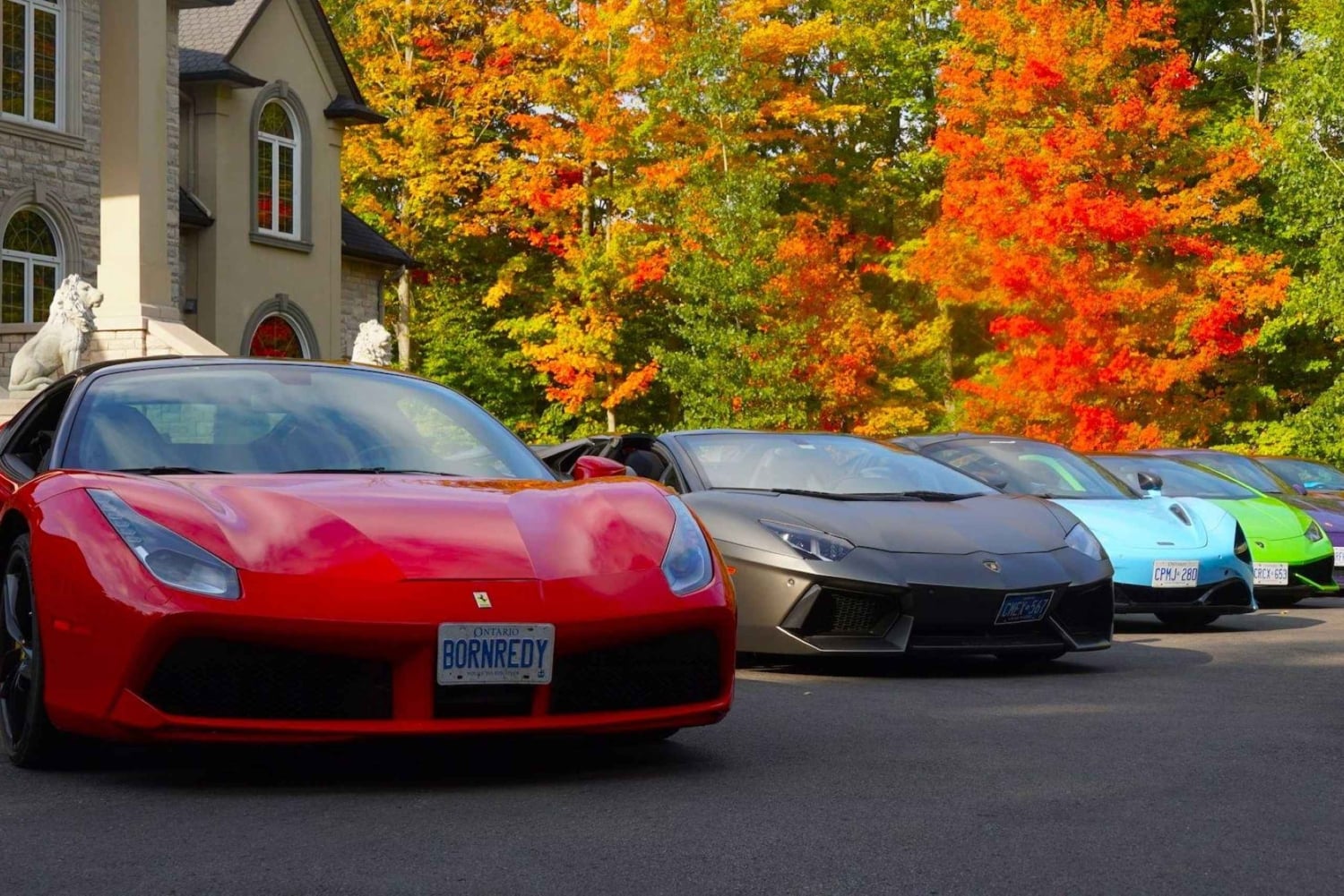 Toronto: Exotic or Supercar Test Drive on Hamilton Mountain