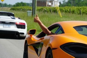 Toronto: Exotic or Supercar Test Drive on Hamilton Mountain