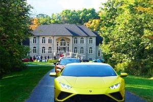 Toronto: Exotic or Supercar Test Drive on Hamilton Mountain