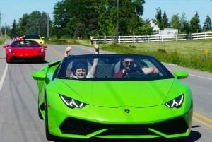 Toronto: Exotic or Supercar Test Drive on Hamilton Mountain