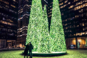 Toronto: Geführte Stadtführung Festive Lights Bus Tour