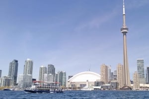 Toronto: guidet sightseeingcruise i havnen og øyene