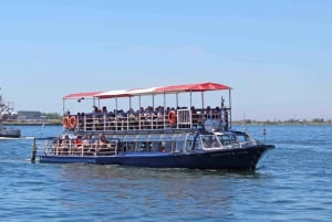 Toronto: guidet sightseeingcruise i havnen og øyene