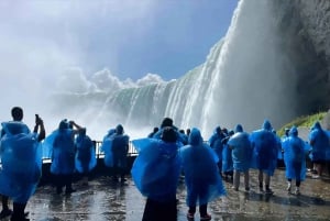 Toronto: Guided Niagara Falls Day Trip with Optional Cruise