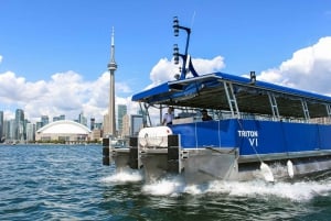 Harbor and Islands Sightseeing Cruise