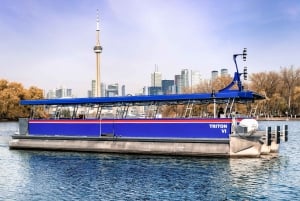 Toronto: Harbor and Islands Sightseeing Cruise