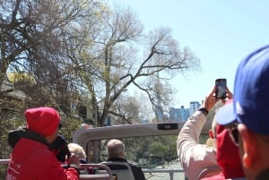 Toronto : visite en bus à arrêts multiples à arrêts multiples avec croisière sur le port