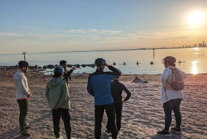 トロント諸島：朝または夕暮れの 3.5 時間自転車ツアー