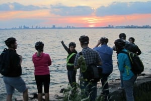 トロント諸島：朝または夕暮れの 3.5 時間自転車ツアー