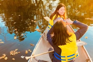 Isole di Toronto: Tour in canoa al tramonto