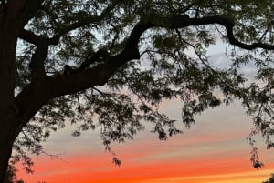 Walk on Toronto Islands with Photos and View of City Lights