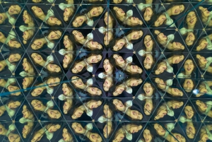 Toronto: Illuusionmuseon pääsylipun