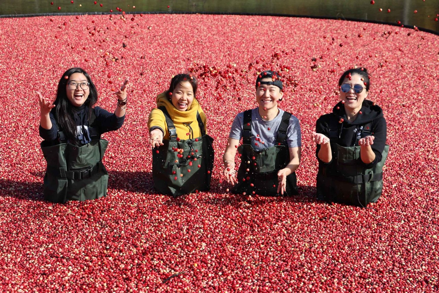 Toronto: Muskoka Cranberry Farm and Hardy Lake Hike