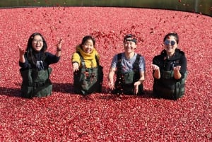 Toronto: Muskoka Cranberry Farm e escursione al lago Hardy
