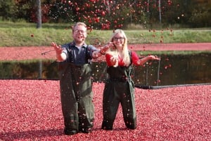 Toronto: Muskoka Cranberry Farm e escursione al lago Hardy