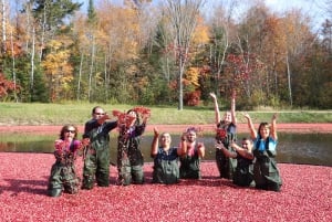Toronto: Muskoka Cranberry Farm e escursione al lago Hardy