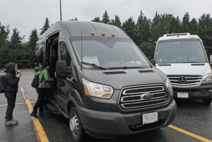 Toronto: Muskoka Cranberry Farm e escursione al lago Hardy