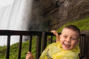 Toronto: Bustour naar Niagara Falls met Maple Tasting en NOTL